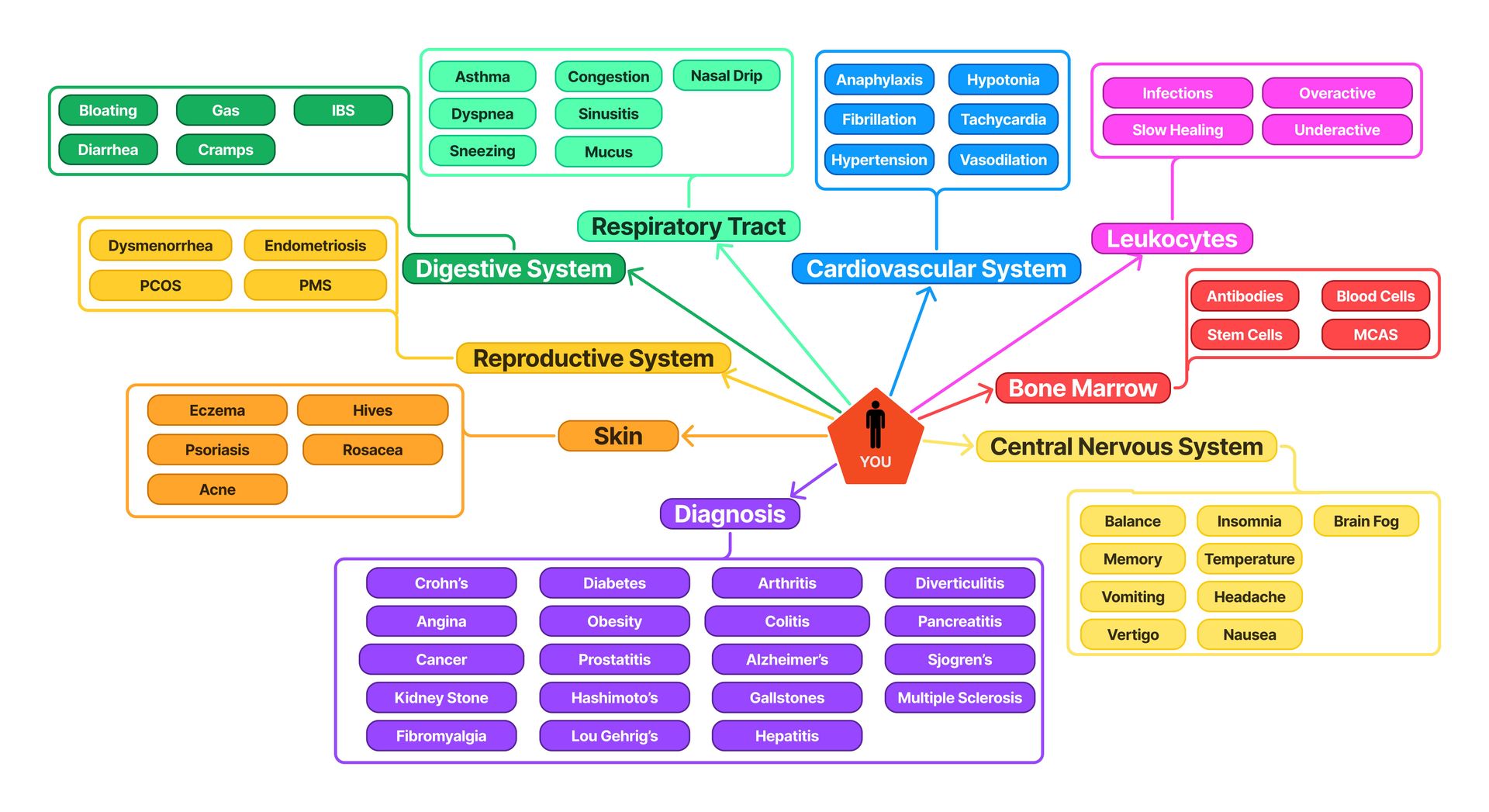 Interconnected Chart