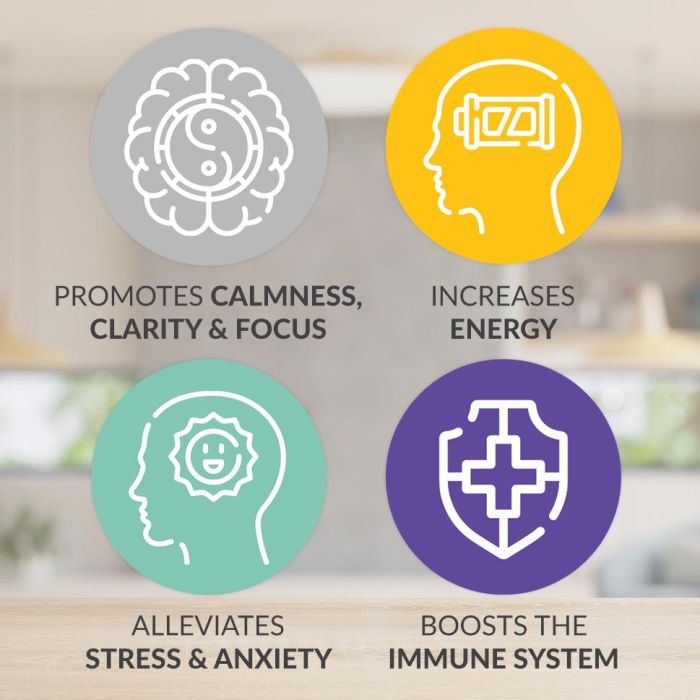 EMPowerplus Methylated Advanced
