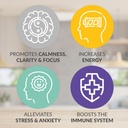 EMPowerplus Methylated Advanced