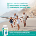 Marine Phytoplankton Features