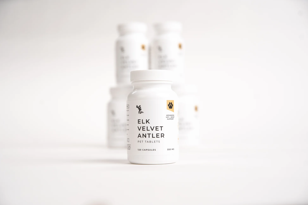 Elk Velvet Antler Pet Formula
