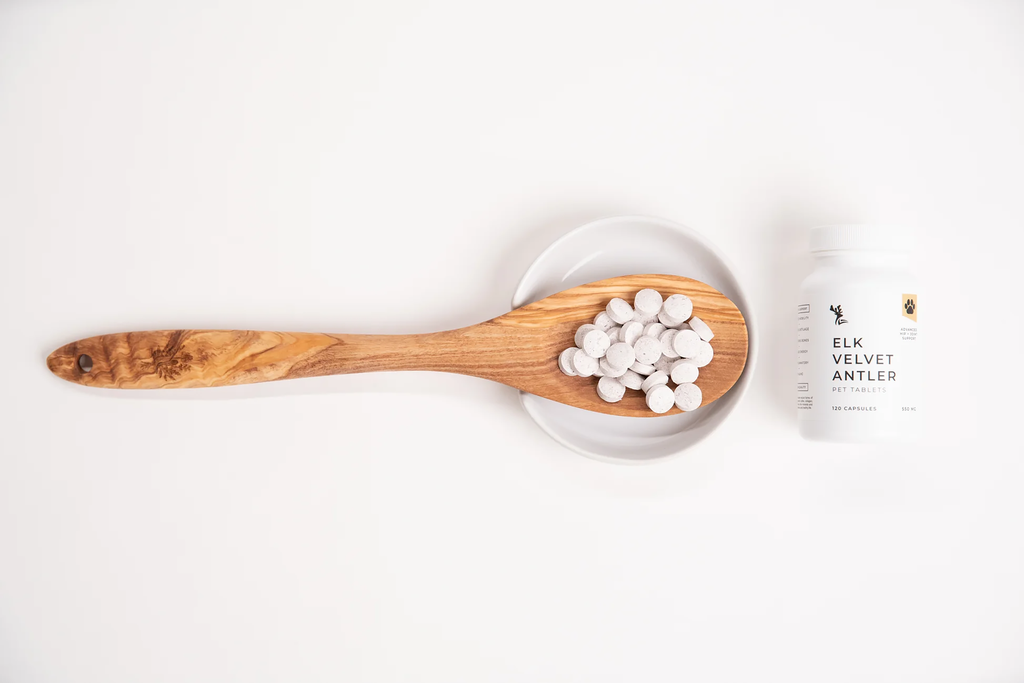 Elk Velvet Antler Pet Formula Tablets Spoon