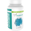 Marine Phytoplankton