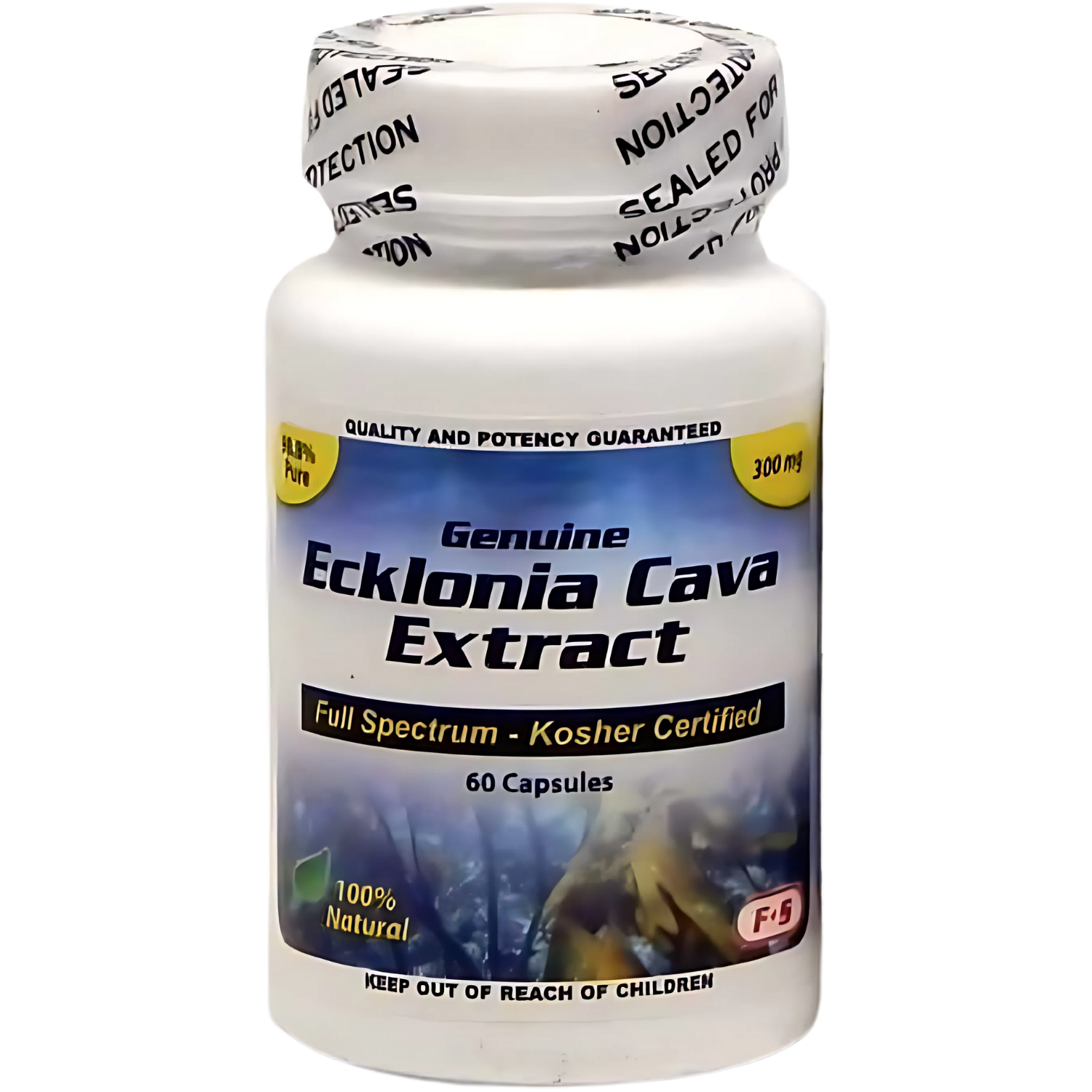 [MTEC060] Ecklonia Cava Extract