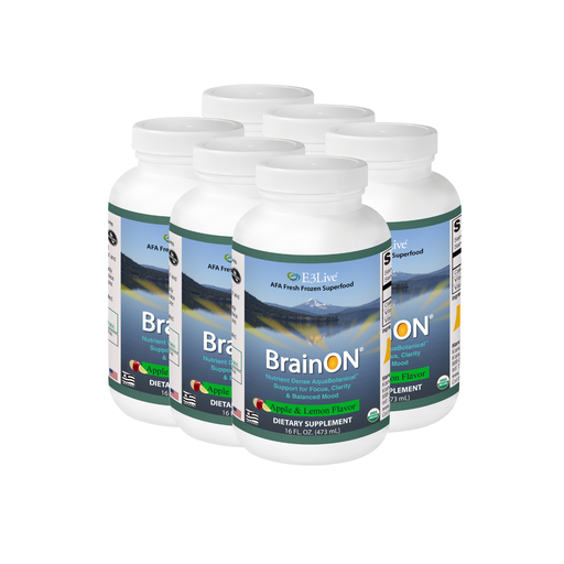 [E3BF6] BrainON Fresh Frozen (6 pack)