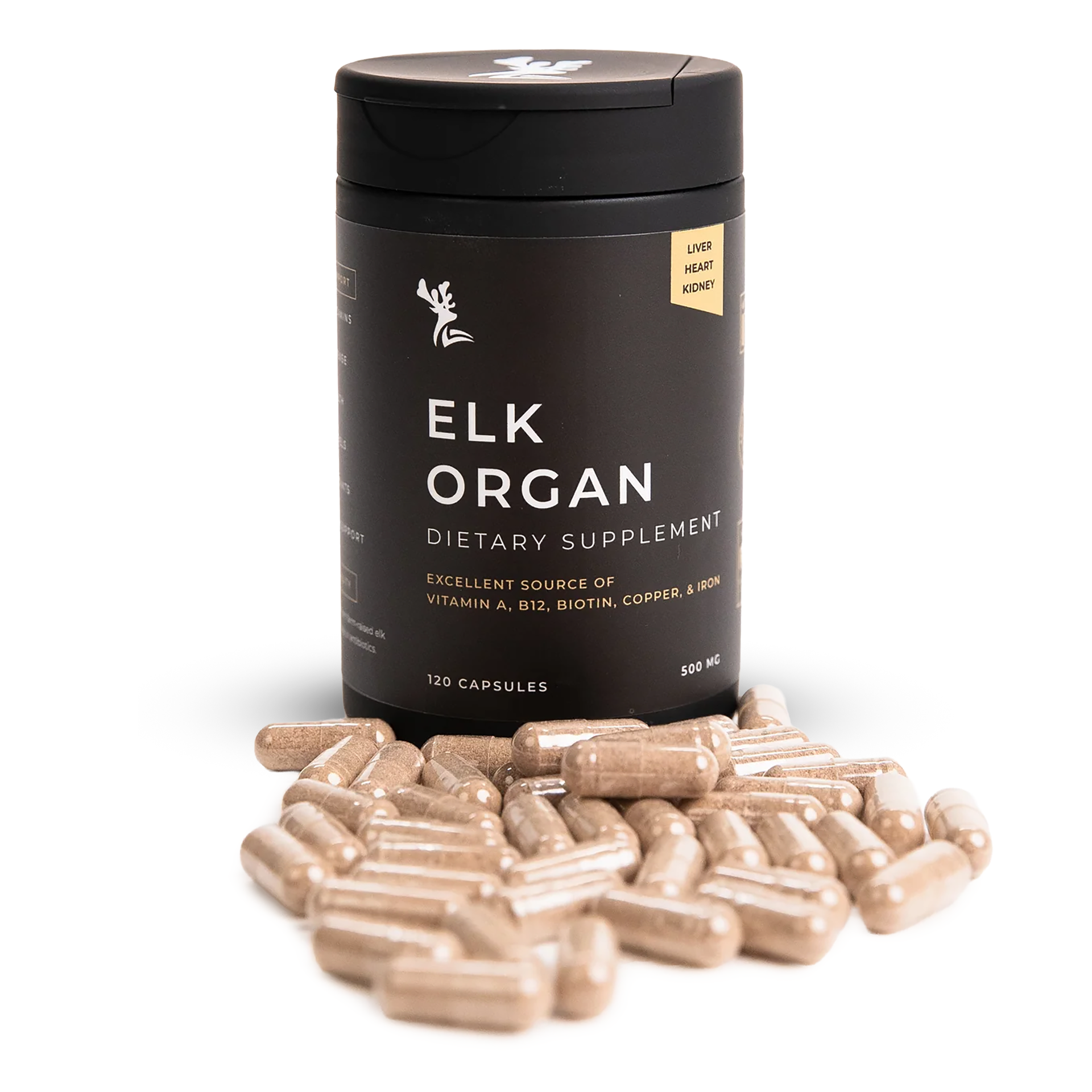 [CLOC120] Elk Organ Complex