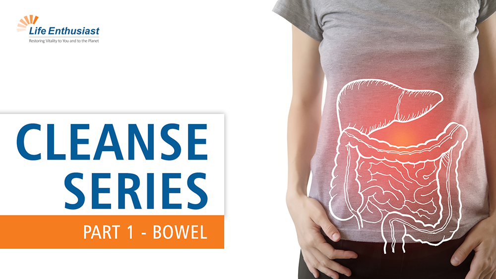 Cleanse series - Part 1 - Bowel with female liver and digestive system
