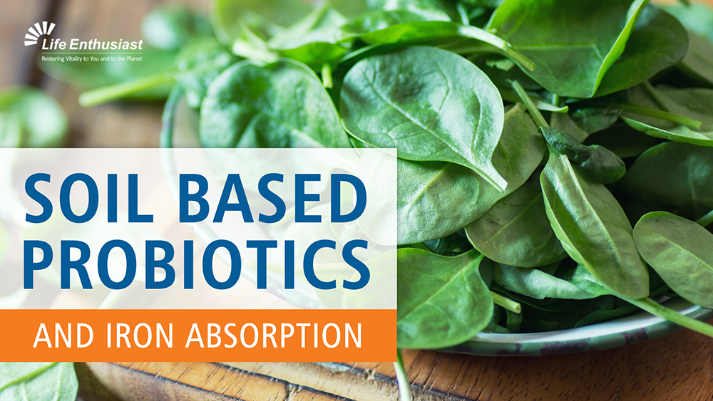 Soil Based Probiotics and Iron Absorption - Spinach leaves