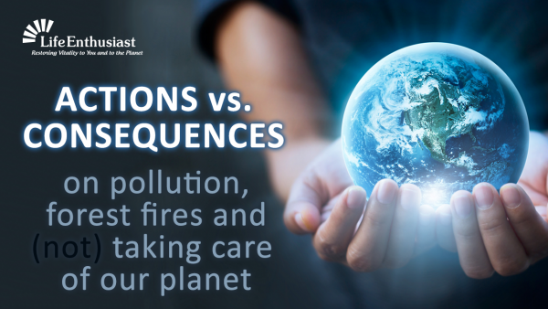 Blog, Actions vs. Consequenses on pollution, forest fires and taking care of our planet