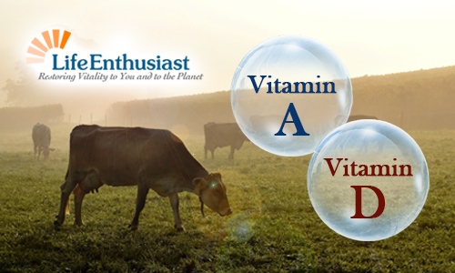 blog, Vitamin A and Vitamin D in bubbles with cows grazing in back