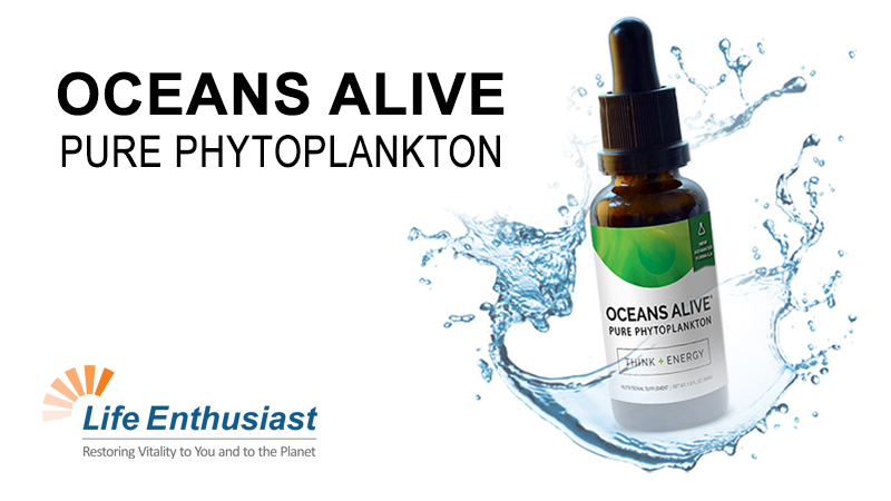 Blog, Oceans Alive Pure Phytoplankton