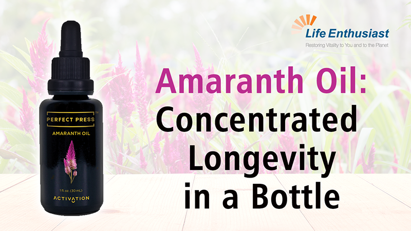 blog, Amaranth Oil Concentrated Longevity in a Bottle