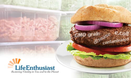 blog, burger with words on it GMO grain, disease, e.coli, contaminated