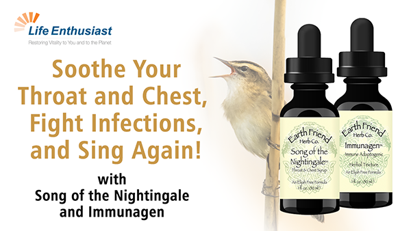 Blog, Soothe your Throat and Chest, Fight Infections and Sing Again! with Song of the Nightingale and Immunagen
