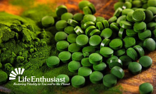 blog, green algae tablets and powder on wood