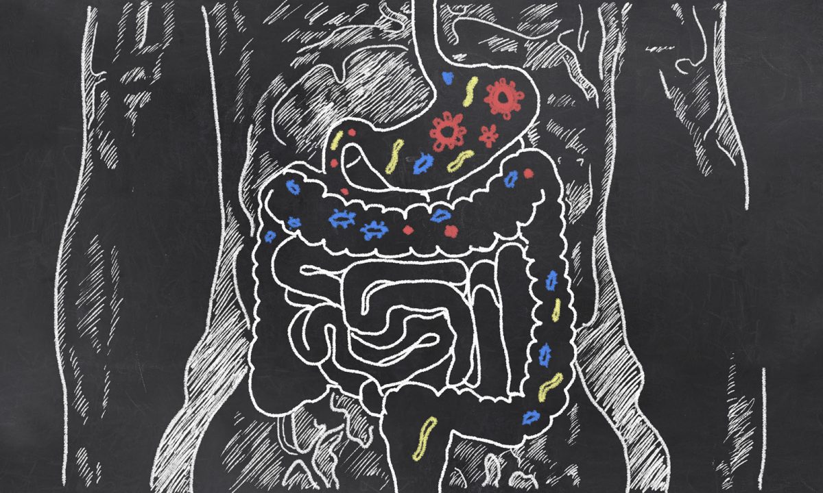 chalk drawing of microbes in digestive system
