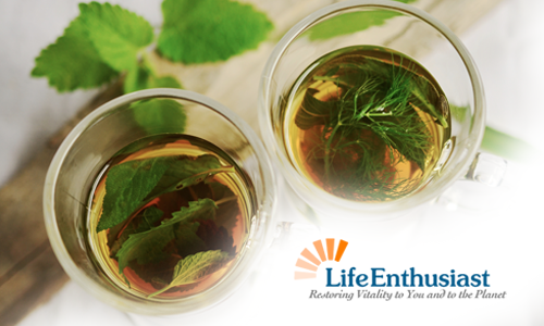 herbal mint tea in glass cups