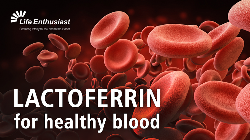 blog, Lactoferrin for healthy blood