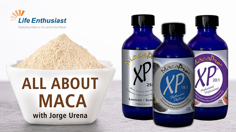 blog, All About Maca with Jorge Urena