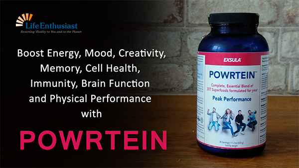 Blog, Powrtein, boost energy, mood, creativity, memory, cell health, immunity, brain function and physical performance