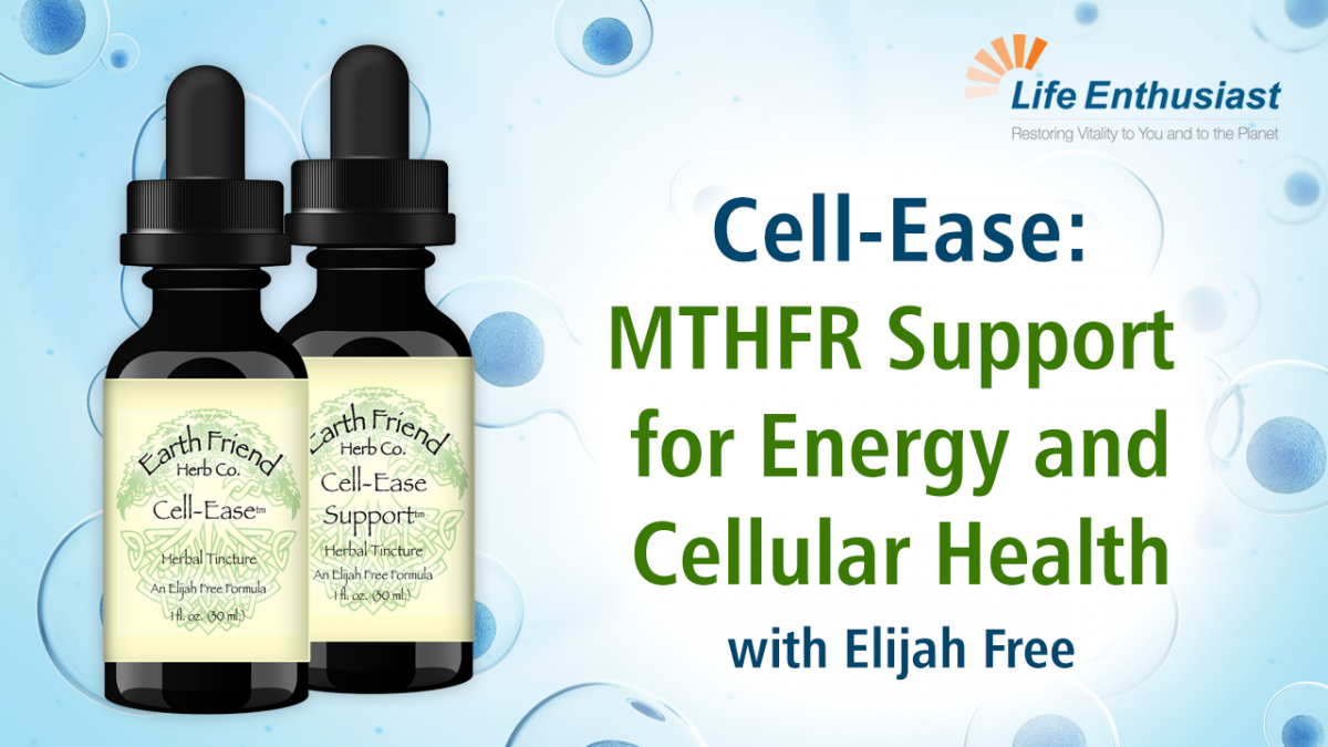 Blog, Cell-Ease and Cell-Ease Support for Energy and Cellular Health