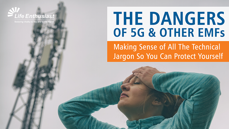 blog, the Dangers of 5G and other EMFs