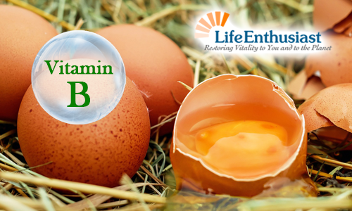 blog, vitamin B in bubble with eggs behind