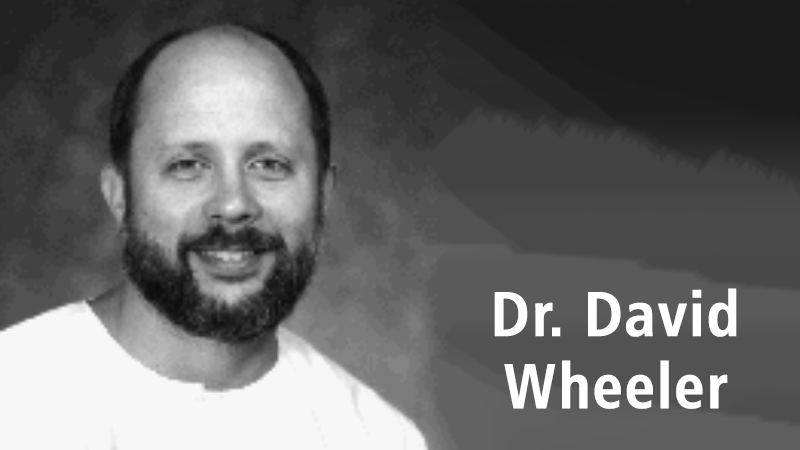 Dr David Wheeler