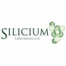 Silicium Labs