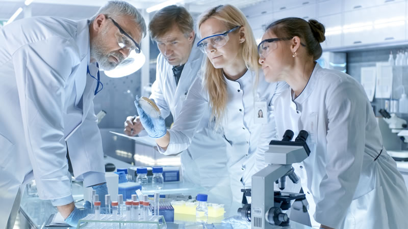 4 lab technicians looking at petri dish