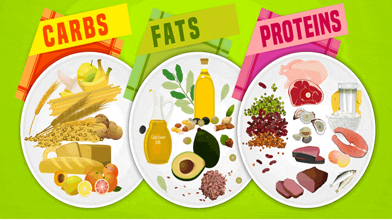 Carbs Fats and Proteins