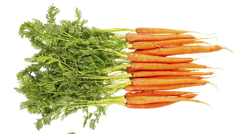 Carrots with green tops