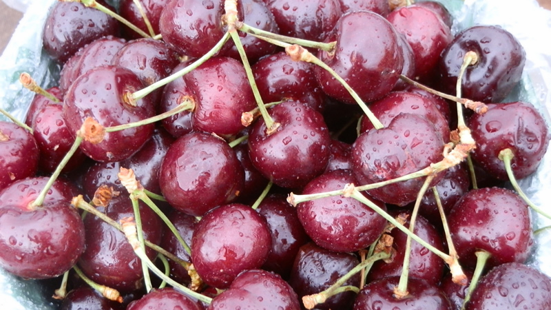 close up of a pile of cherries
