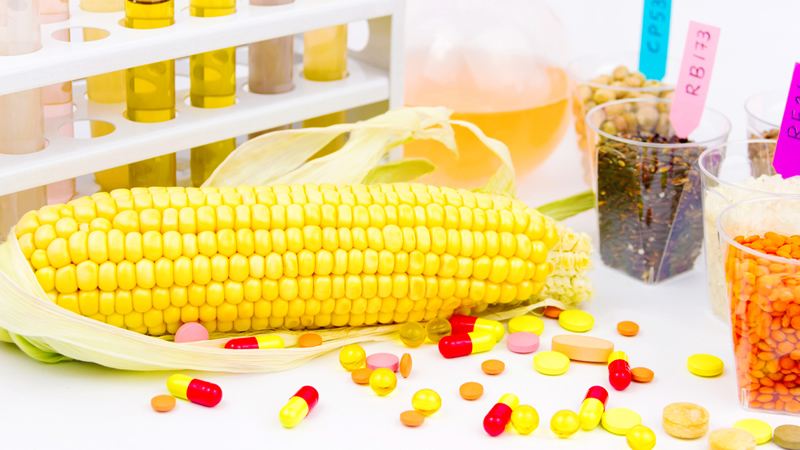 cob of corn surrounded by capsules, tablets and lab equipment