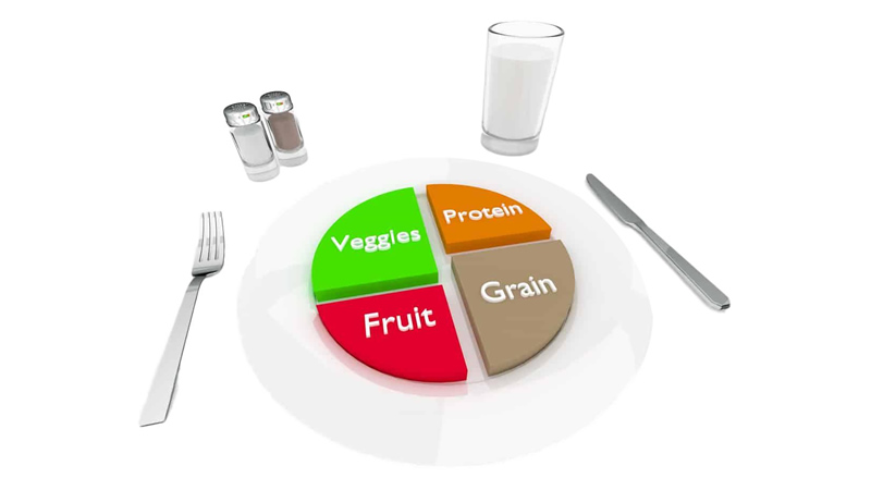 white plate like graph with sections for Veggies, Protein, Fruit, Grain