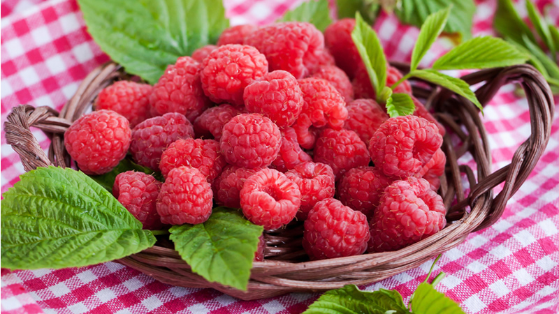 basket of red raspberries and green leaves on checkered table cloth