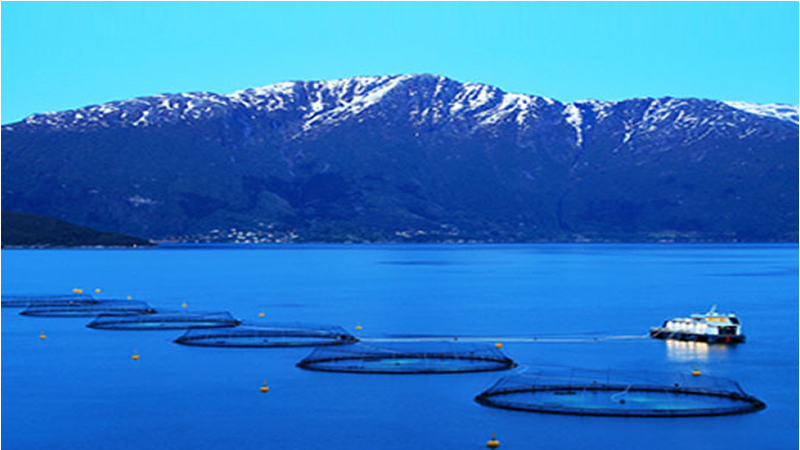 lake and mountain view of boat and salmon farming nets