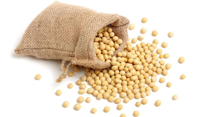 soybeans spilling out of burlap bag