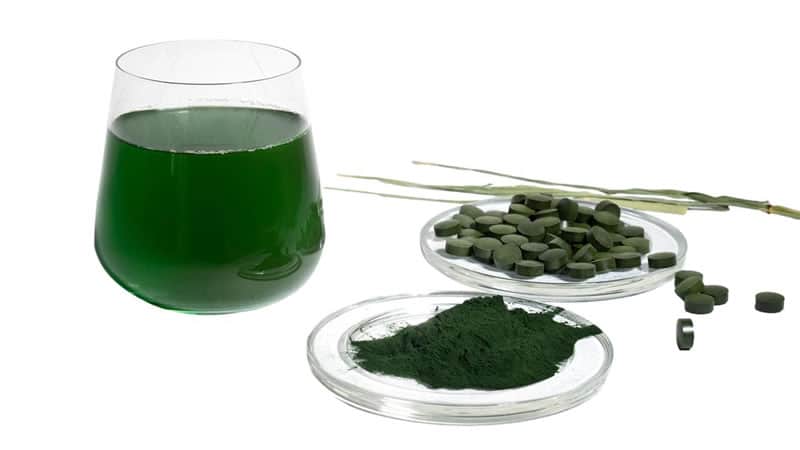 Algae Drink, Powder, Tablets and Leaves