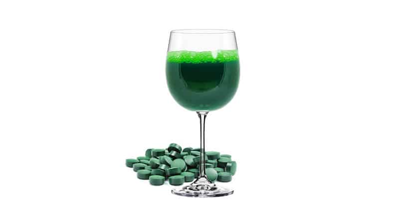Algae Wine Glass with Tablets