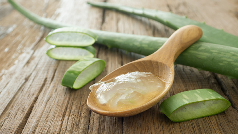 Aloe Vera gel on wooden spoon with cut leaf sections and whole leaves