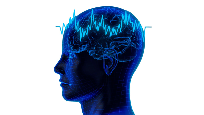 side view blue head showing brain and brain waves