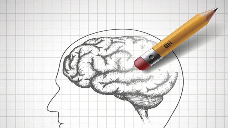 side view drawing of brain, with pencil erasing it