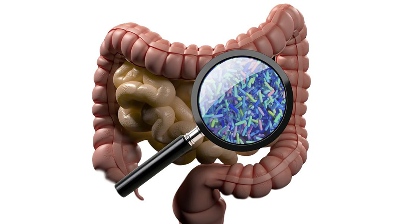 magnifying glass showing gut bacteria on small and large bowels