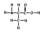 Amino Acid alanine