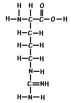 Amino Acid Arginine
