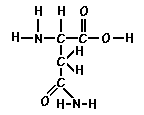 amino asn