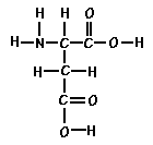 Amino Acid Aspartic