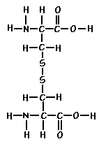 Amino Acid Cystine