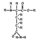Amino Acid Gutamine